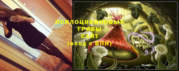 соль ск Надым